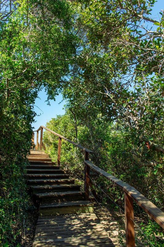 0 Bedroom Property for Sale in Moquini Western Cape